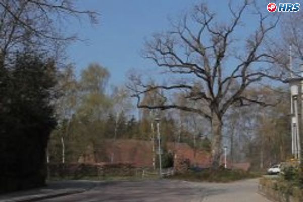 Hotel Backenköhler (Ganderkesee)